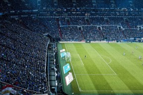 九游娱乐比分网-帕金斯触壁瞬间锁定奖牌希望