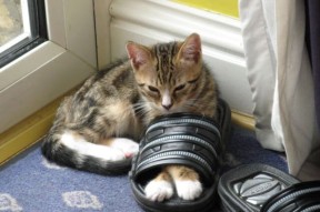 九游娱乐入口-“攻防大战：战略调度成胜负关键，绝境何惧？”，战略攻防游戏