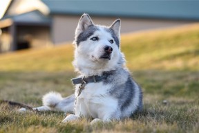 九游体育-全国篮球场馆建设速度加快，助力赛事发展，中国篮球馆场