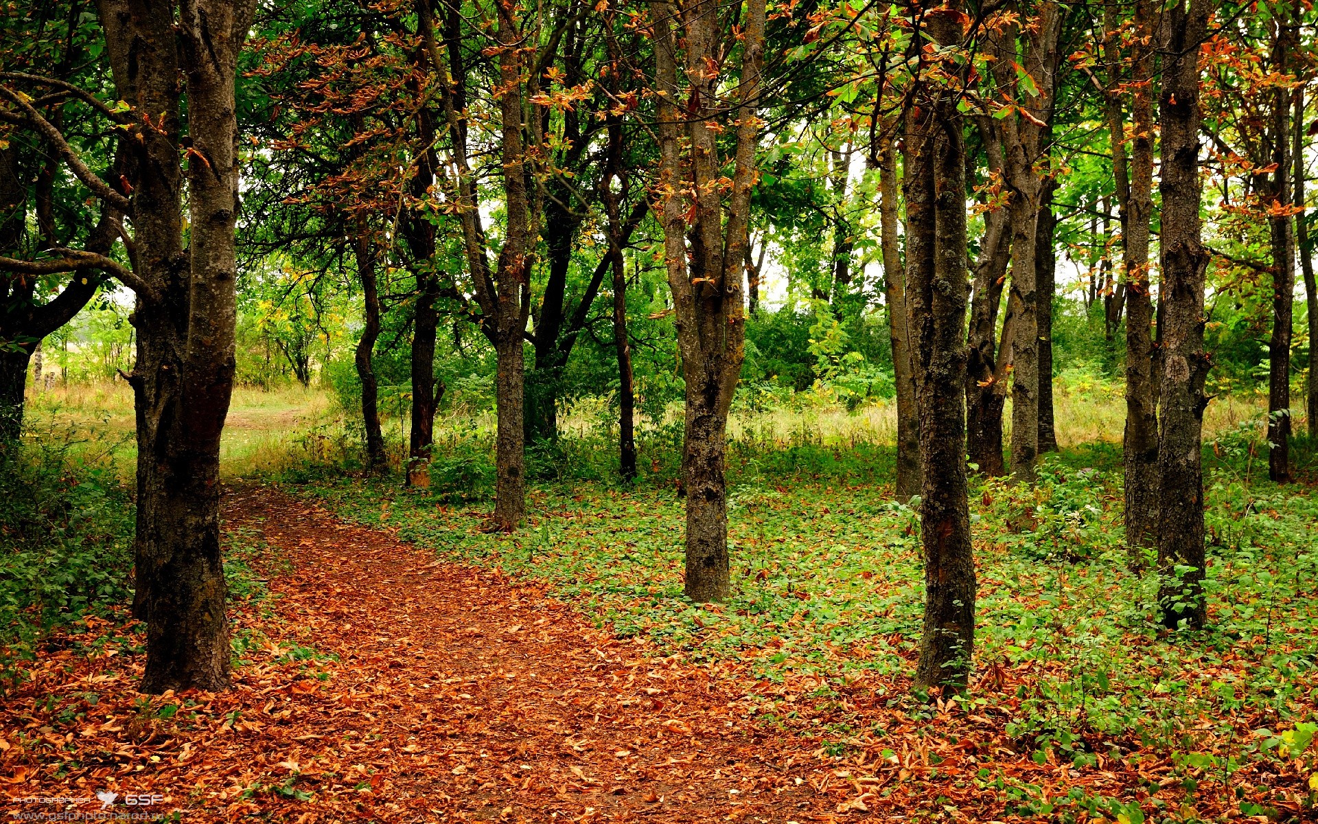 _新兴盛事：社区举办的小型街头网球赛_，网球进社区策划方案