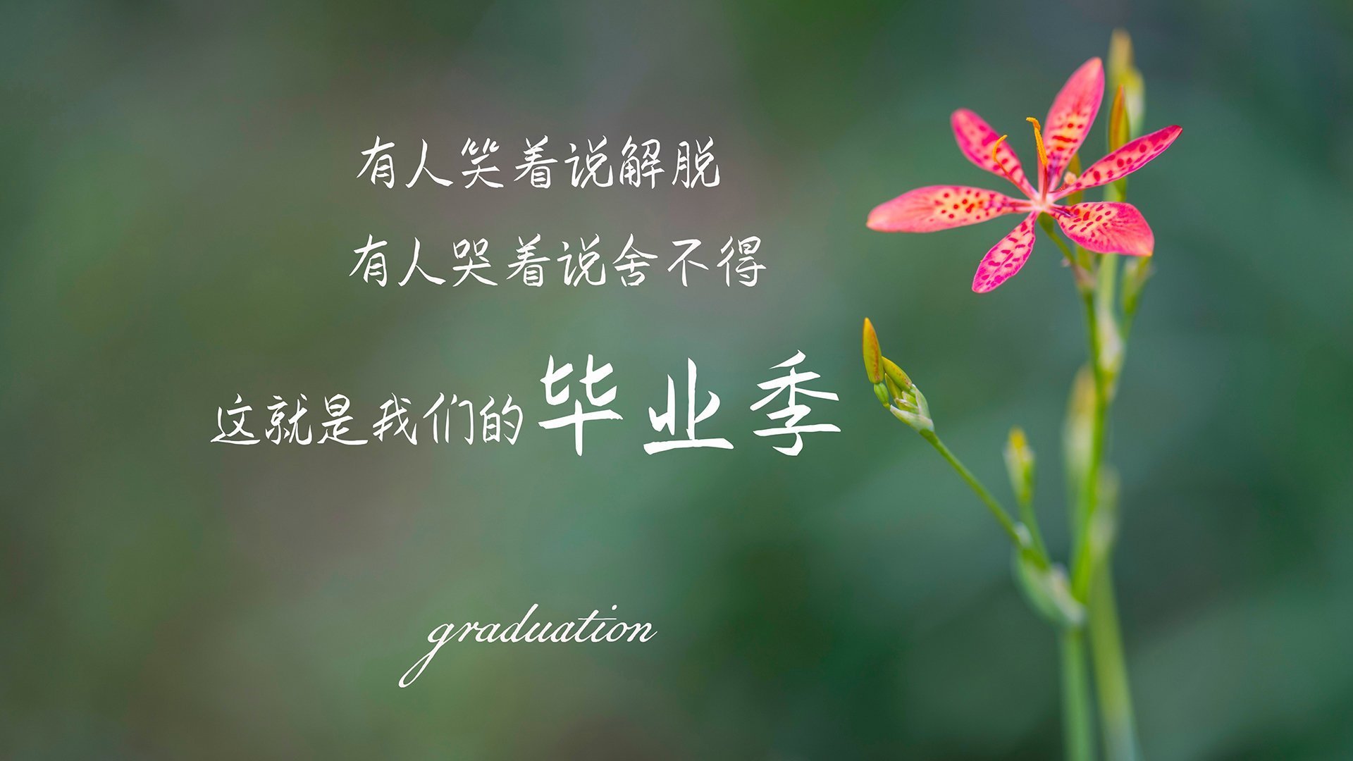 _爵士队全面发力，连续获胜_，爵士队很强吗