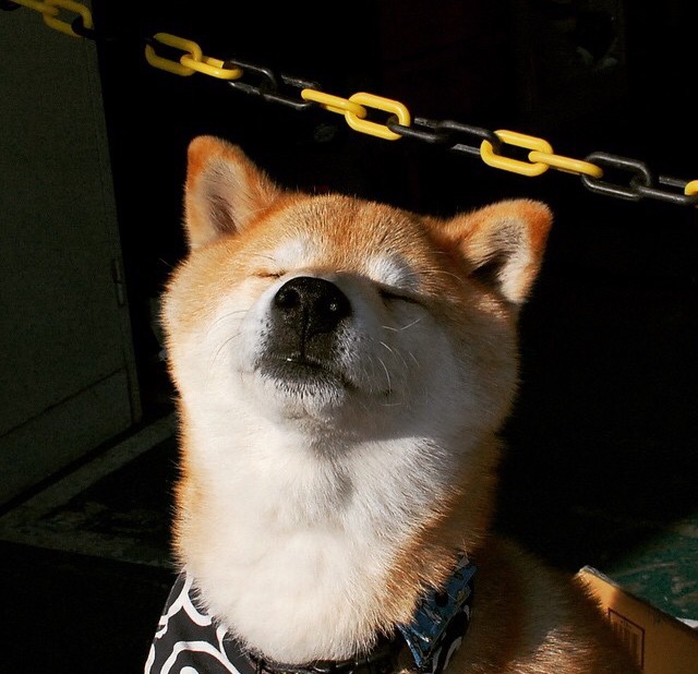 “历史经典：百年篮球的伟大时刻不容错过”，篮球的历史有多久