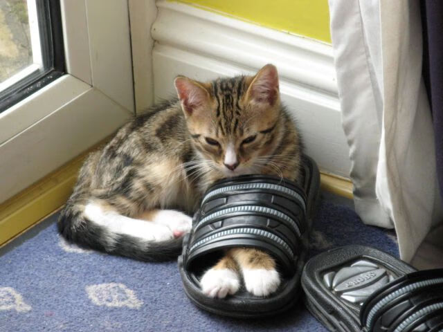 “攻防大战：战略调度成胜负关键，绝境何惧？”，战略攻防游戏