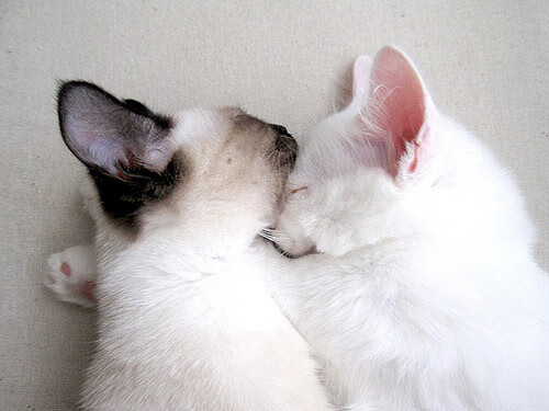 “青训教练员专业培训班取得阶段性成果”，教练员技能培训