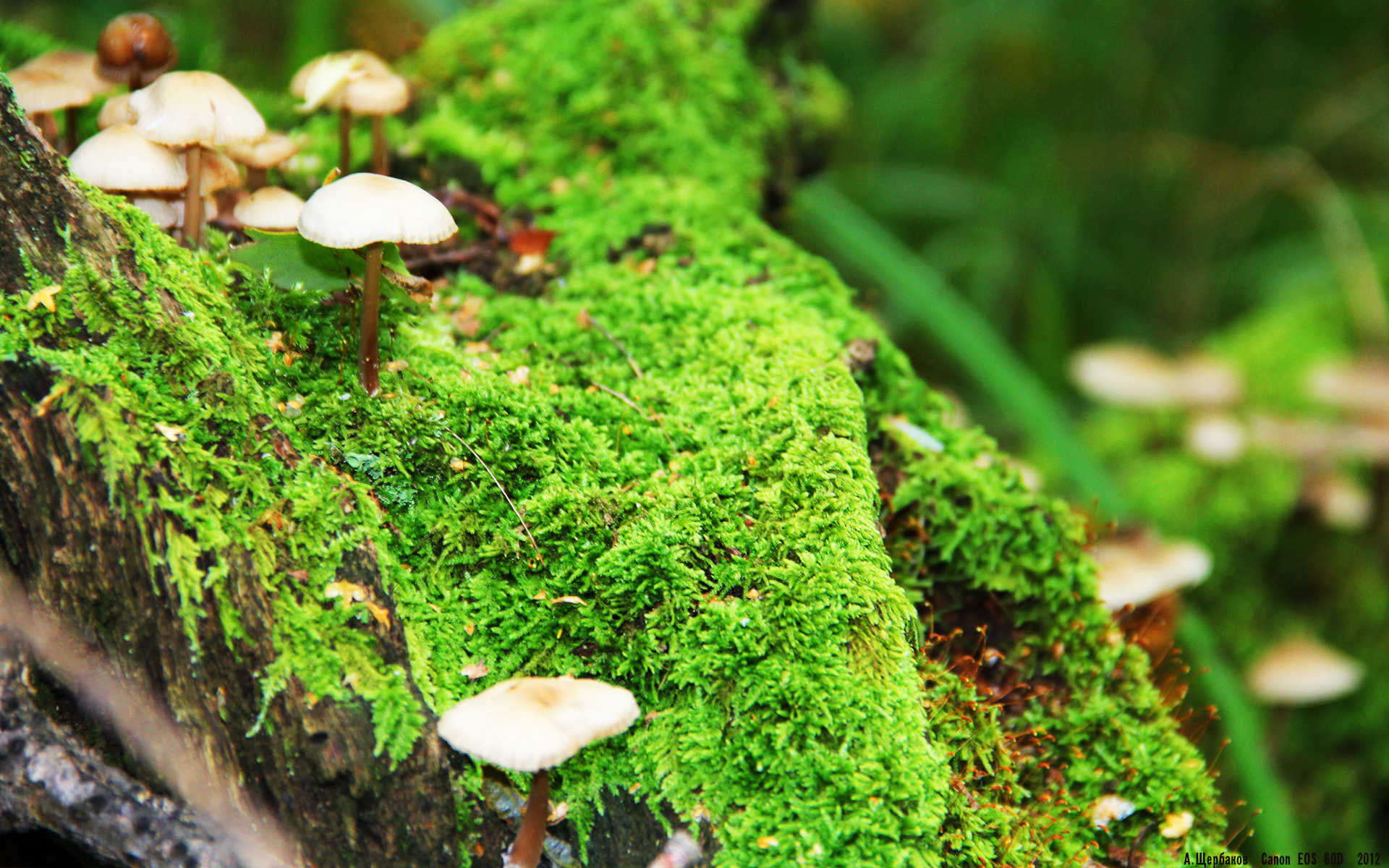 《电竞选手的生活日常：训练、娱乐、休息全纪录》，电竞职业选手生活日常