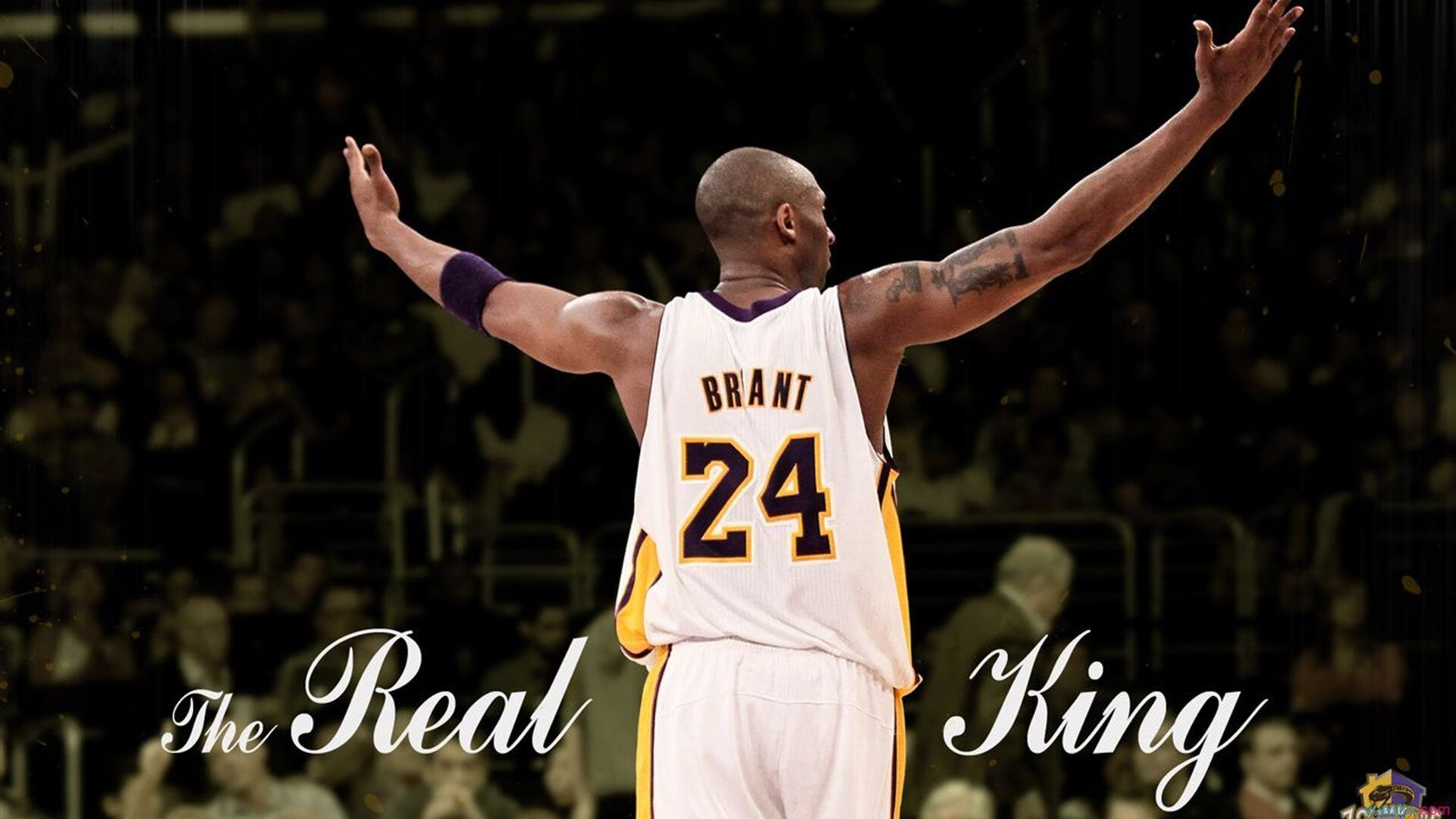 欧洲杯激戰連連：战术变化带来无限精彩，欧洲杯战场